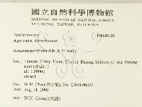 登錄號:F0026120藏品圖，第2張