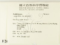 登錄號:F0026121藏品圖，第2張