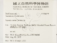 登錄號:F0026125藏品圖，第2張