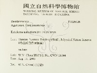 登錄號:F0026126藏品圖，第2張