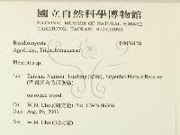 登錄號:F0026128藏品圖，第2張