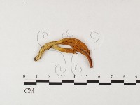 登錄號:F0026130藏品圖，第3張