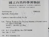 登錄號:F0026132藏品圖，第2張