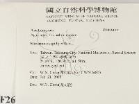 登錄號:F0026134藏品圖，第2張