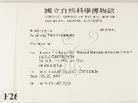 小皮傘屬藏品圖，第2張