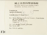 登錄號:F0026136藏品圖，第2張