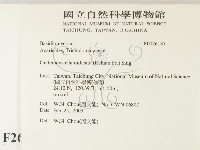 登錄號:F0026137藏品圖，第2張