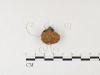 登錄號:F0026139藏品圖，第1張
