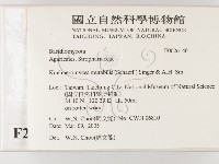 登錄號:F0026140藏品圖，第2張