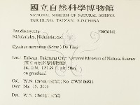 登錄號:F0026141藏品圖，第2張