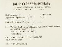 登錄號:F0026145藏品圖，第2張
