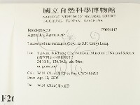 登錄號:F0026147藏品圖，第2張
