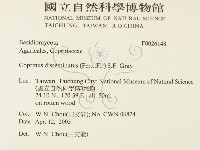 登錄號:F0026148藏品圖，第2張
