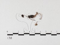 登錄號:F0026148藏品圖，第3張