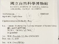 登錄號:F0026149藏品圖，第2張