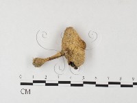 登錄號:F0026149藏品圖，第1張
