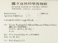 登錄號:F0026150藏品圖，第2張