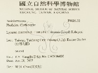 登錄號:F0026152藏品圖，第2張