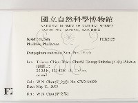 登錄號:F0026155藏品圖，第2張