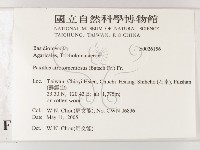 登錄號:F0026156藏品圖，第2張