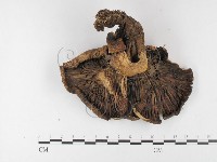 登錄號:F0026156藏品圖，第3張