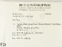 小菇屬藏品圖，第2張