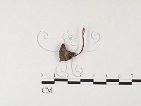 登錄號:F0026158藏品圖，第3張