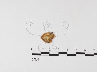 登錄號:F0026159藏品圖，第3張
