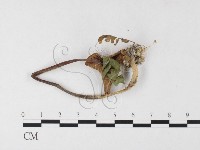 登錄號:F0026160藏品圖，第3張
