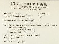 登錄號:F0026161藏品圖，第2張