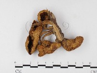 登錄號:F0026161藏品圖，第3張