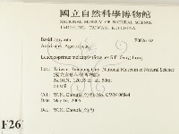 登錄號:F0026162藏品圖，第2張