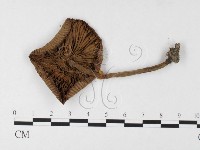 登錄號:F0026162藏品圖，第3張