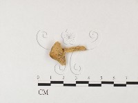 登錄號:F0026164藏品圖，第1張