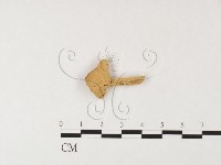 登錄號:F0026164藏品圖，第3張