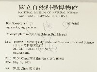 登錄號:F0026165藏品圖，第2張