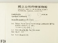 登錄號:F0026166藏品圖，第2張