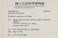 登錄號:F0026166藏品圖，第4張