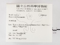 紅菇屬藏品圖，第2張