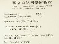 煙管菌藏品圖，第2張