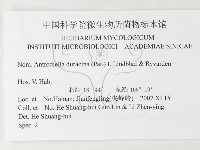 登錄號:F0026172藏品圖，第3張