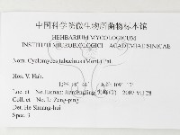 登錄號:F0026173藏品圖，第3張