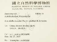 登錄號:F0026174藏品圖，第2張