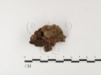 登錄號:F0026176藏品圖，第1張