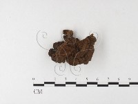 登錄號:F0026176藏品圖，第4張