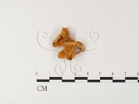 登錄號:F0026179藏品圖，第4張