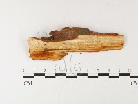 登錄號:F0026180藏品圖，第4張