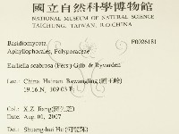 登錄號:F0026181藏品圖，第2張