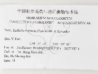 登錄號:F0026181藏品圖，第3張