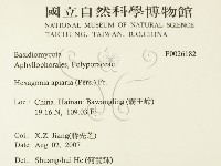 登錄號:F0026182藏品圖，第2張